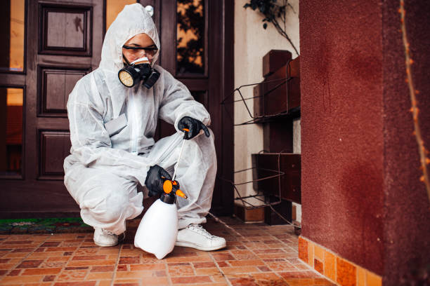 Reliable Wasp Removal contractor in Chesapeake Ranch Estates, MD by Show Me Pest Control